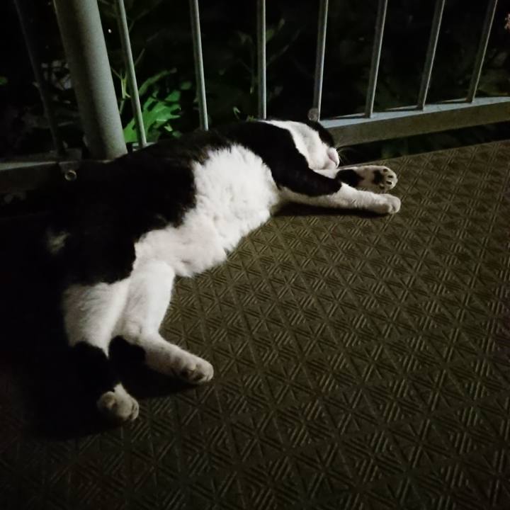 A420e5b0 ed58 4050 aa76 ff28eb6730fd 1531224161699