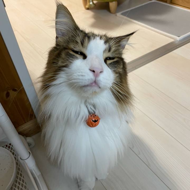 A42104ec 96eb 4e3a bbd8 5c5ddbfb73b5 1697485829175