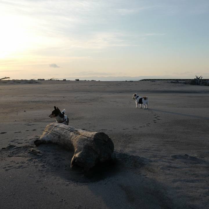 A42107a5 4833 4371 9e5f d61aacfcb6c8 1519366708516