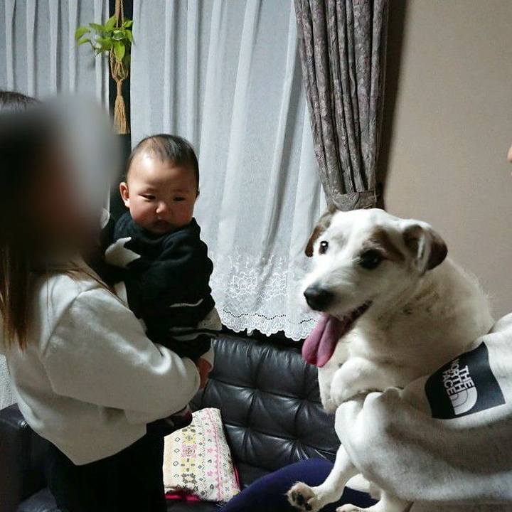 A4212dd8 3523 4ece ae5a f0b1757b7a85 1553905748462