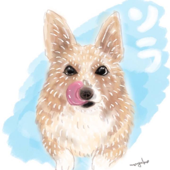 A4217517 6163 42e3 a216 99ac50fd2926 1571314389117