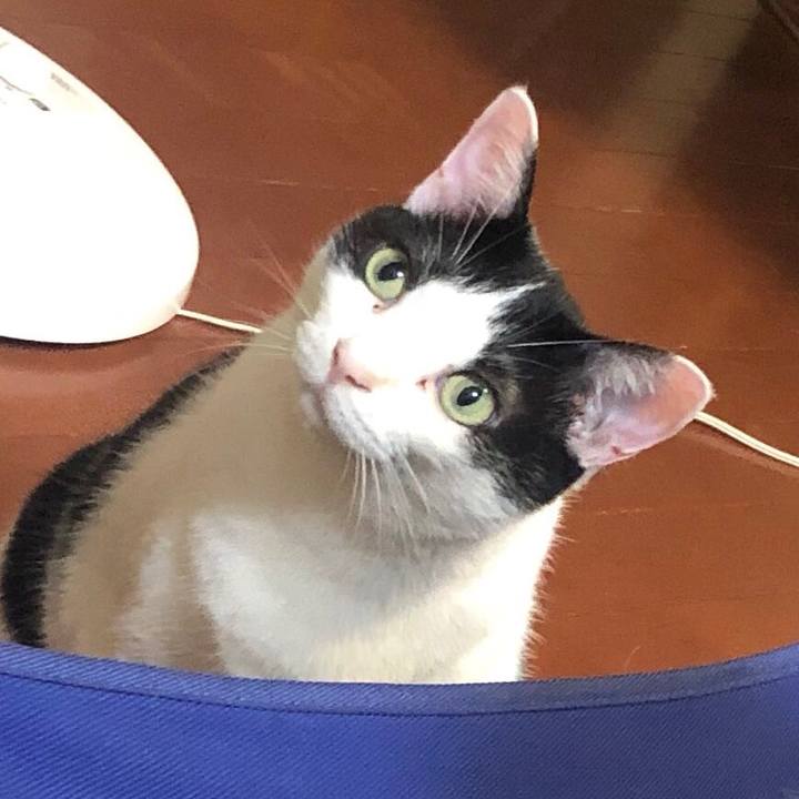 A421ad6d cbe6 4c4e 9347 3f8f13a989b6 1561972114104