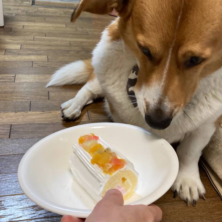 A421b781 68d5 4f80 b0da 6edf481f71bd 1708838747049