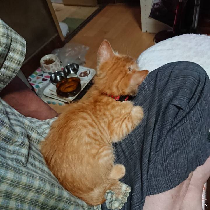 A421c5d5 7db4 42b8 a17c b1488c75e2cb 1628459434079