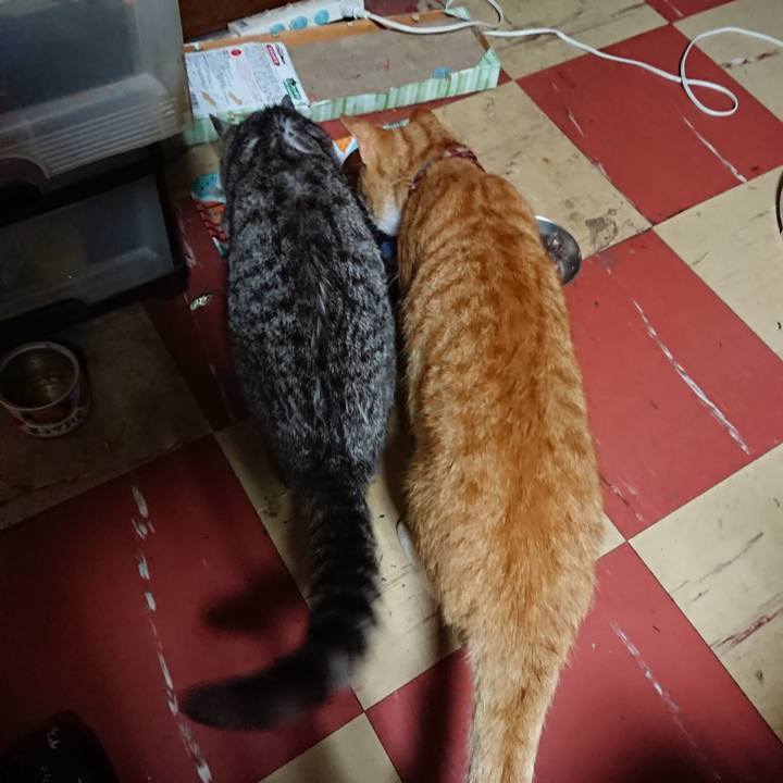 A421da85 d11c 440f 98ef d5e43a6797fd 1564257835731