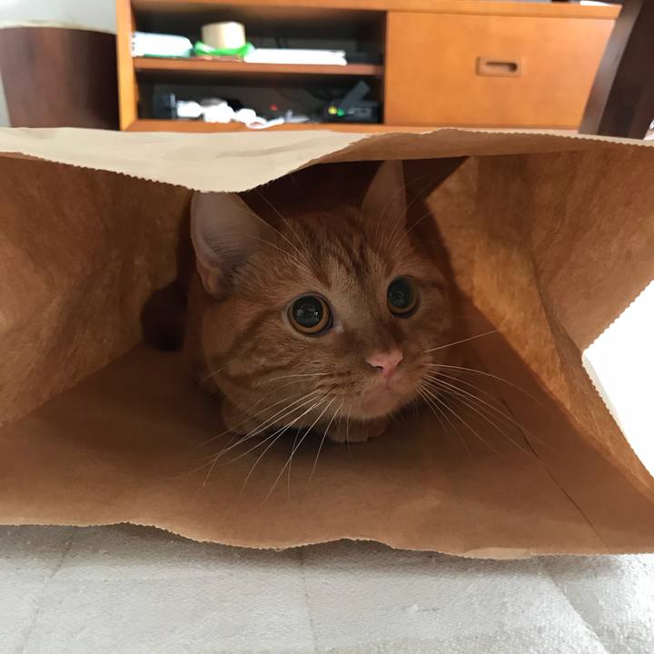 A4221597 9dfc 409e a280 ed488b819ee7 1536305937679