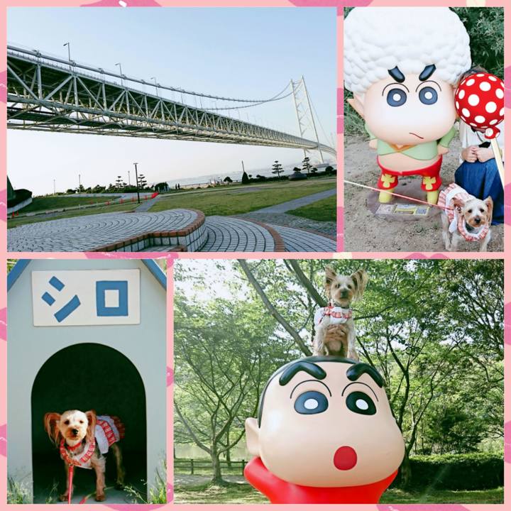 A4223040 077d 446a ba6d 82963c8b0439 1527337546321