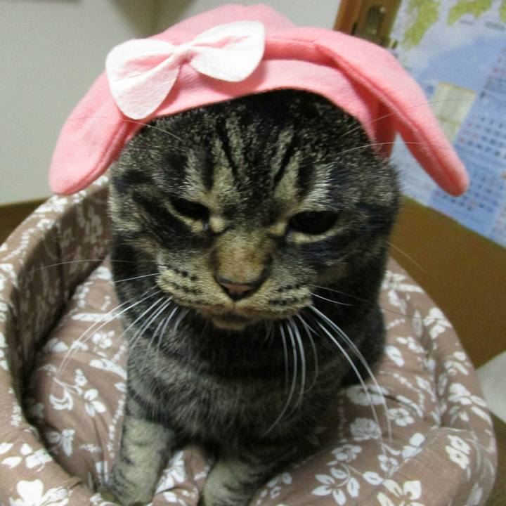 A4224cf6 1056 473a aed3 0eda3dca71dc 1509507154831