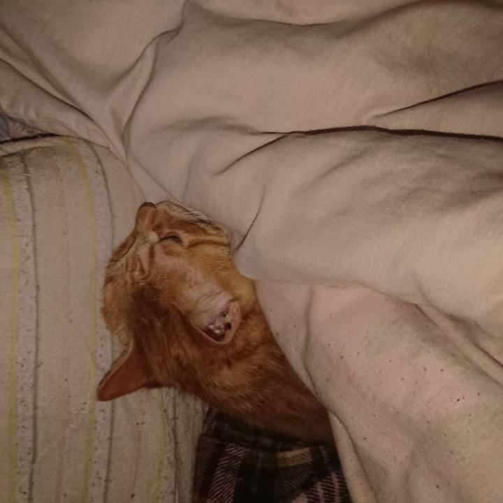 A422642e 77a8 4b26 8394 0b408c50d353 1643727865798