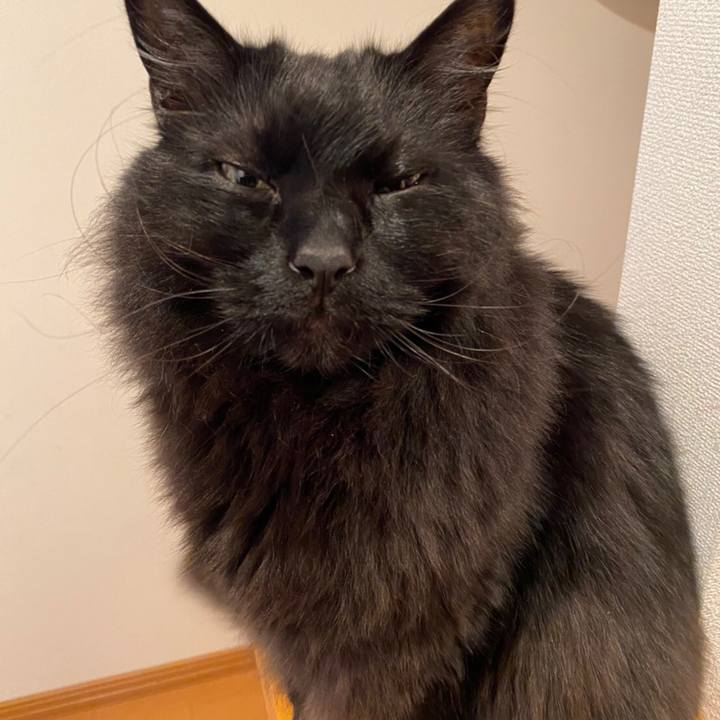 A4226d5a 8154 49be af02 0f5b67d76339 1586705612358