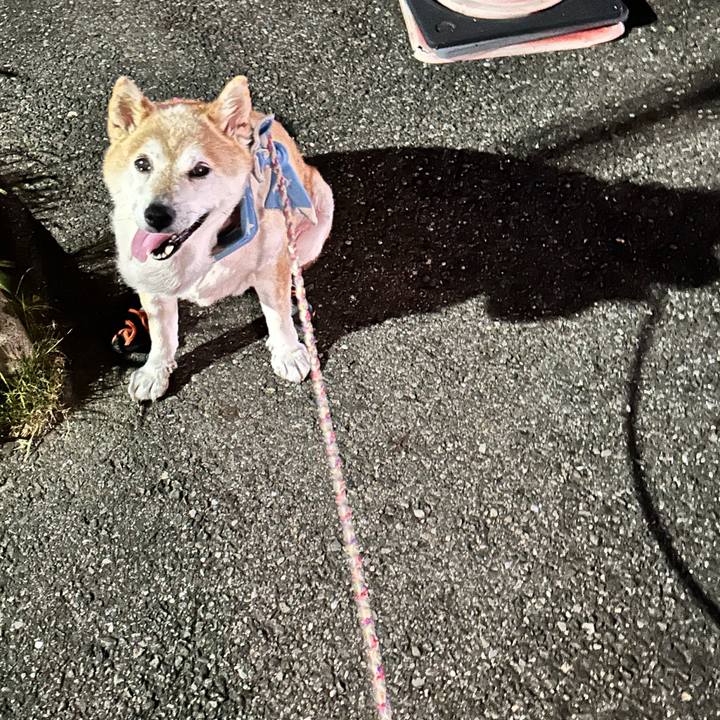 A422783e 377f 460d a877 c50153bda8fc 1753114197497