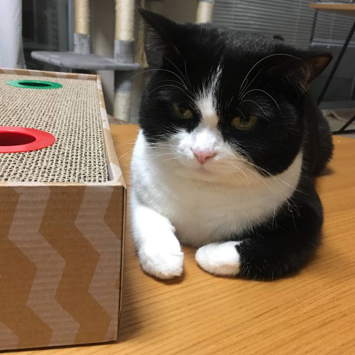 A4228ab0 15a8 4ca6 bc9f 6d40f234817c 1574654121909