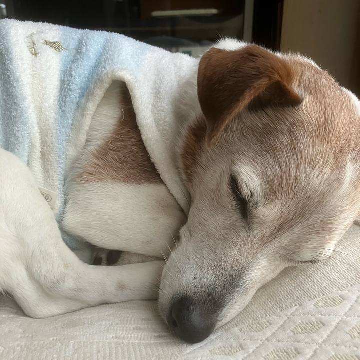 A422a146 07eb 4671 9270 8afaf2741fae 1773963338517