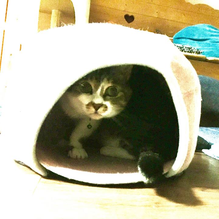 A422b957 45b2 40bf aca4 2582acb2dc4c 1595863025779