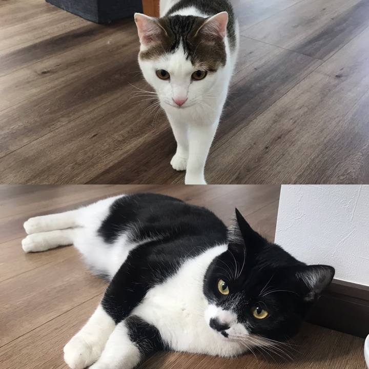 A422ba57 8be2 4d69 9e4d 70575a784d18 1616729090912