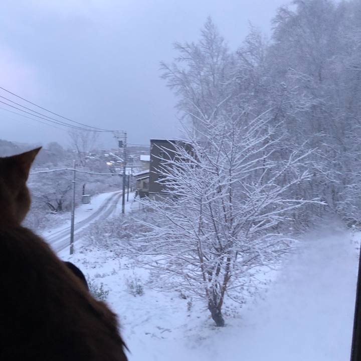 A422f189 c41b 4a6a b540 cfddff521a4d 1637651929651