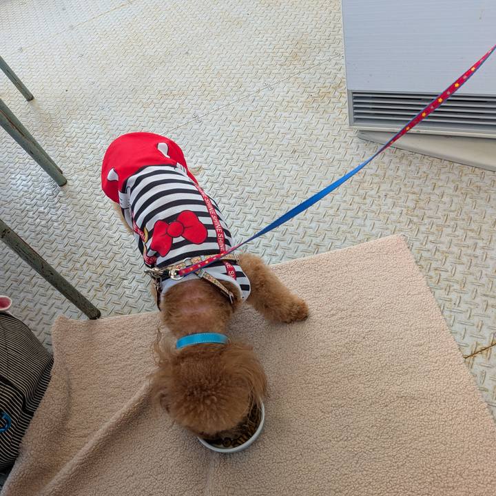 A42307c9 47b2 4b99 b1ff 299a9bc33e7e 1773980142291