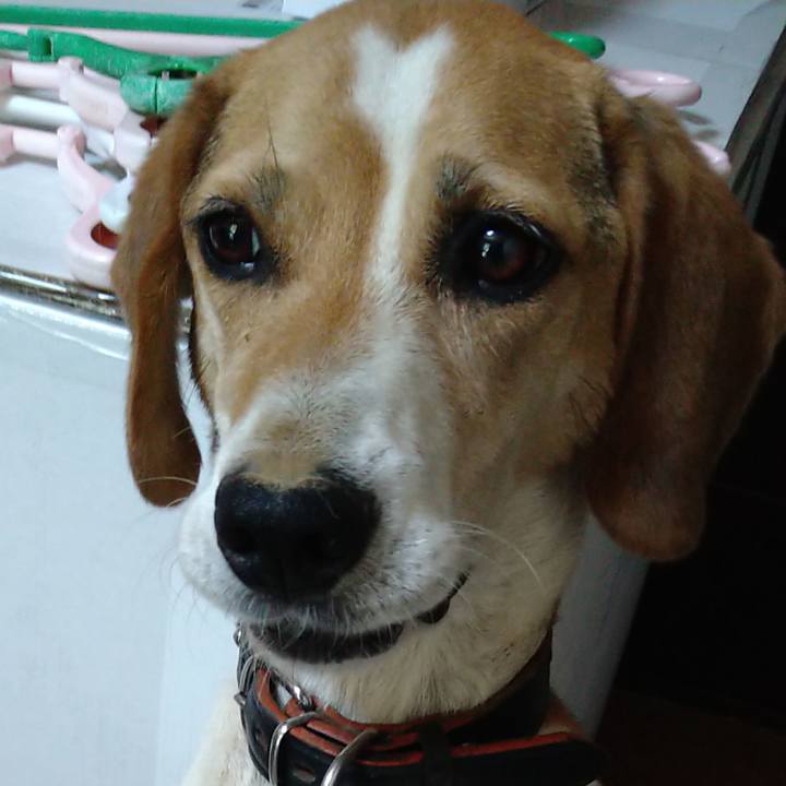 A4230b5a aae7 423b 9ac2 65567762da56 1660990258402