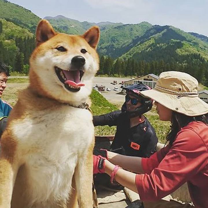 A4230beb d756 4a46 85aa db7e0087318d 1558047436479