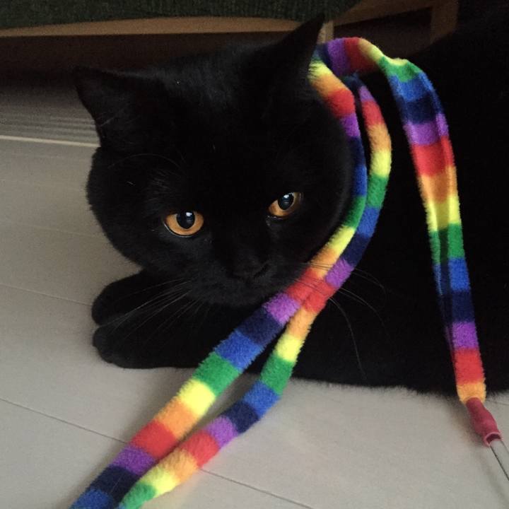 A4231bd5 6fbb 4c5d a15e 2a443afecd51 1554593371880