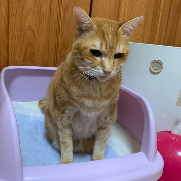 A4232584 ced4 4487 aade 66bbb177493b 1608518997057