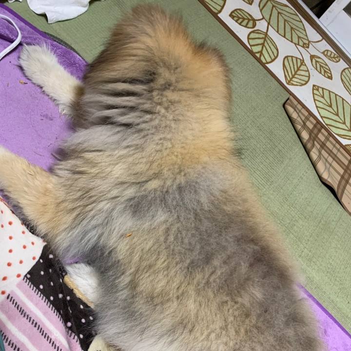 A4232f16 563e 48a9 848b fdd6e9f66179 1561685355485