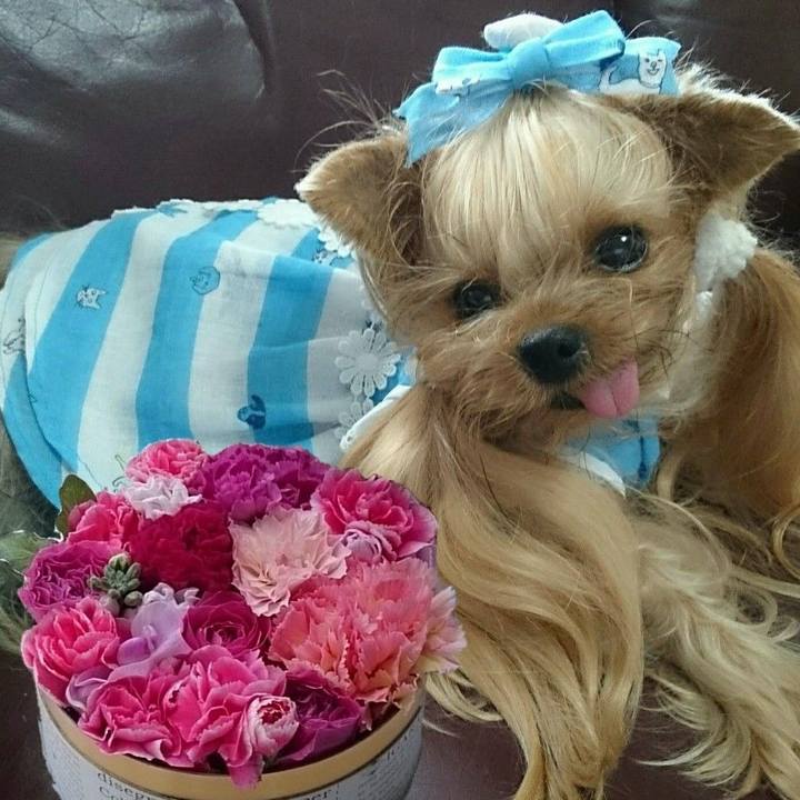 A4235480 7e6a 4de3 83b3 f48e3e582807 1759240701187