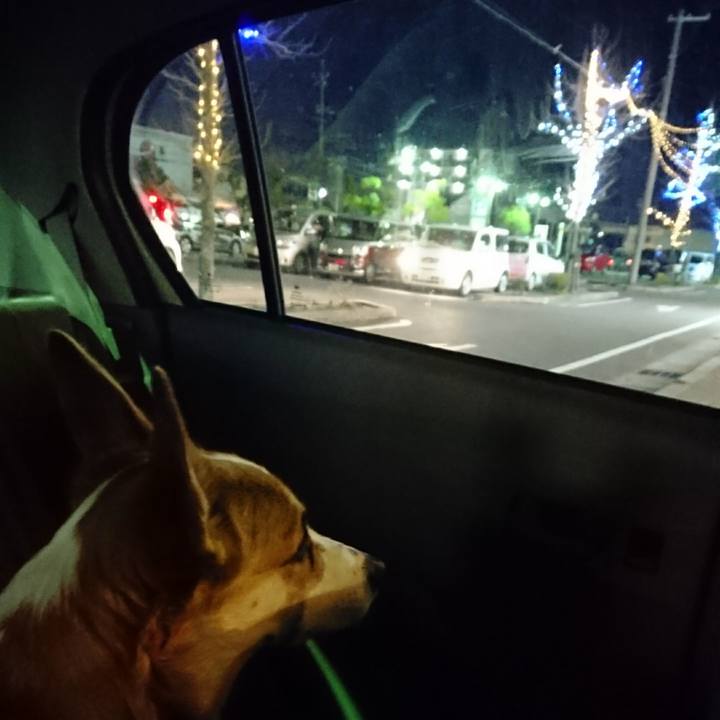 A4235770 3319 456c afca 55338db61c71 1580736891169