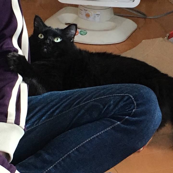 A4238a2a 820a 425a 8867 ce67fffcf030 1540947679788