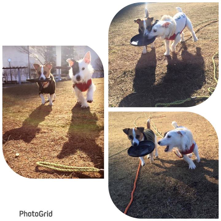 A423eacf f2c4 4e3d 87f8 2763aab3fa3d 1676030266880