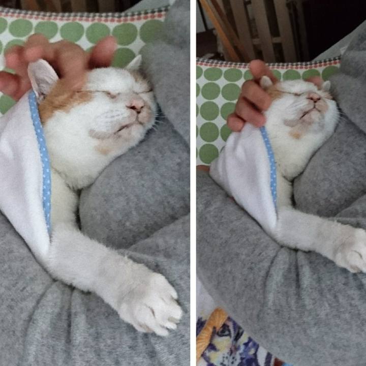 A4242672 03f6 4305 8c14 1b222f9e2d3e 1546559969742