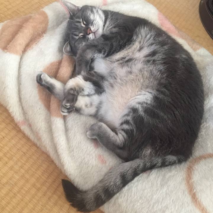 A4244cf6 82cb 4c1d b799 aa1895ce604b 1525869992970