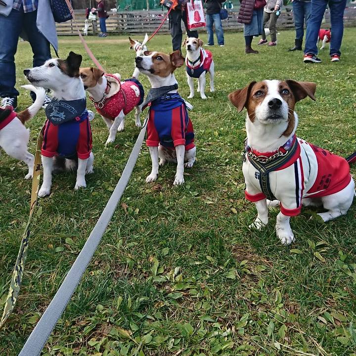 A42472cc ecad 455a b01c 7352872db555 1541978474796