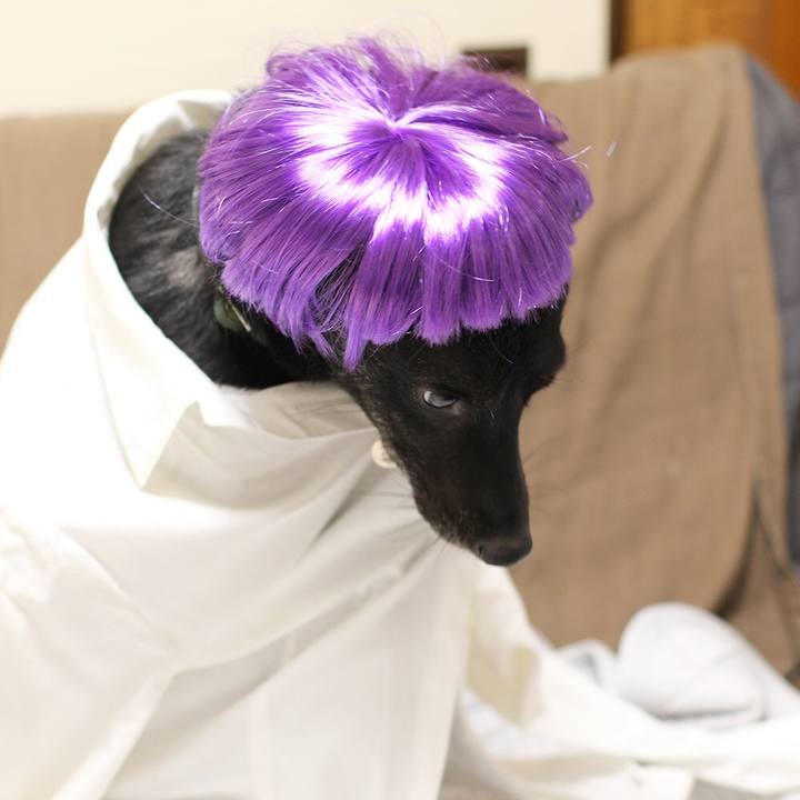 A4251f3e 7bd7 4966 bb6e f7ef9fc1210c 1544269380427