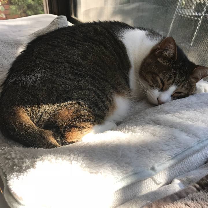 A425784b 3549 43fa a1b4 6d3ae41e91c4 1515814461833