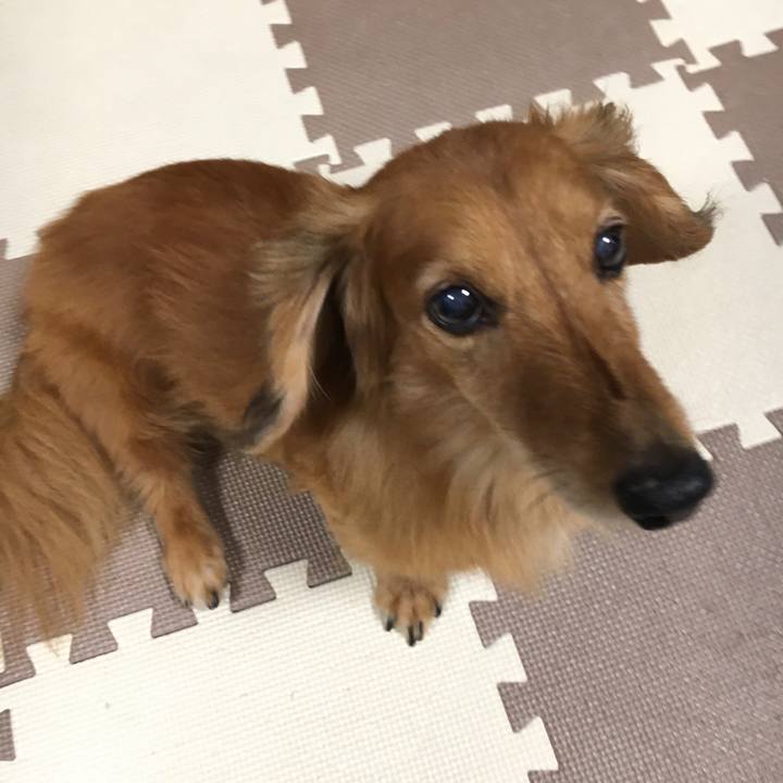 A4261f76 53d2 4174 8e5f 2d9fe74c416a 1593863191969