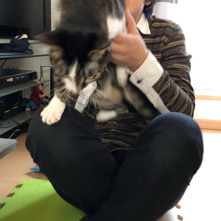 A42628aa 017b 473c a69d 59b20a348f5a 1551178353747