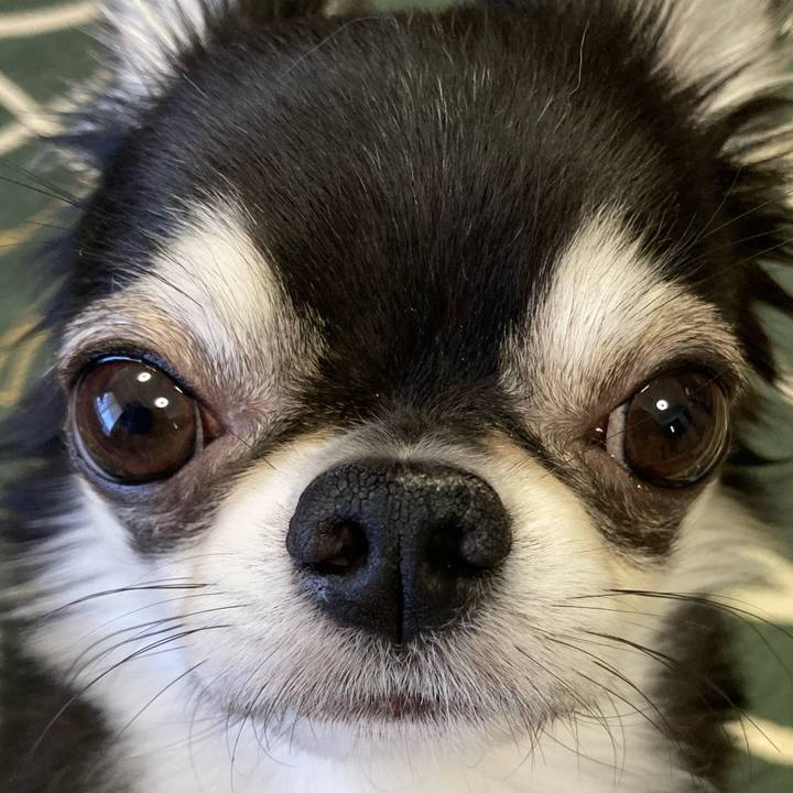 A42637fb 4145 4f1d a342 a3ae88373584 1649460684974