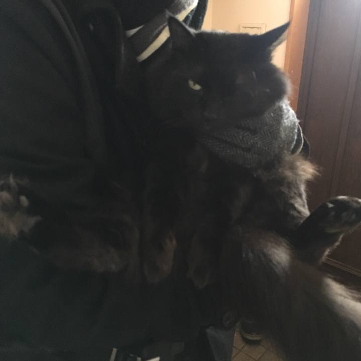 A4264cee 2f40 488e 9a27 4f8e6f88a78f 1520298737231