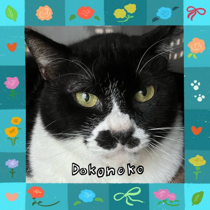 A426d19e 1405 4dba b9dc 3b515f41eca8 1714991298665