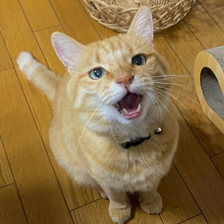 A426d7d8 b718 483d 9ac2 f99b07c83377 1758009489364