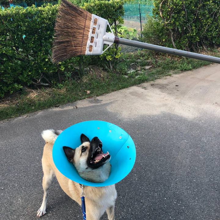 A426eb8b 91ac 4e81 8037 9a074aa7b81f 1533207384874