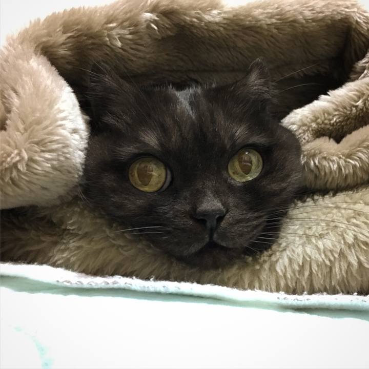 A426f1a4 711a 425f bdf0 56efc5aac098 1512829292483