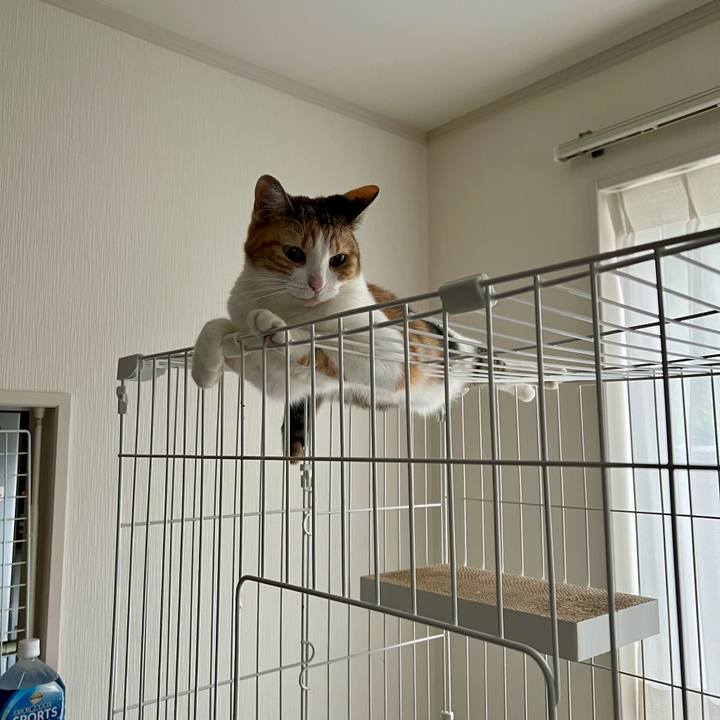 A426f8b2 9dd4 4638 942e 9f4e1e783900 1759981109744