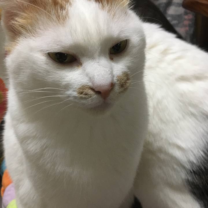 A4271702 b0b4 4f57 852f 7009d5114192 1579323088546