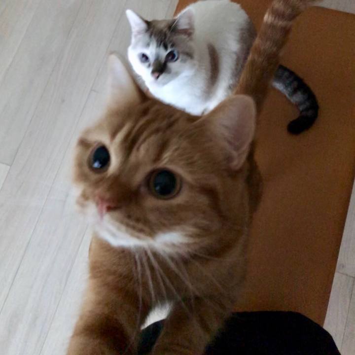 A4277cca d010 4d89 b25f 6ea7be1b1d73 1516659958662