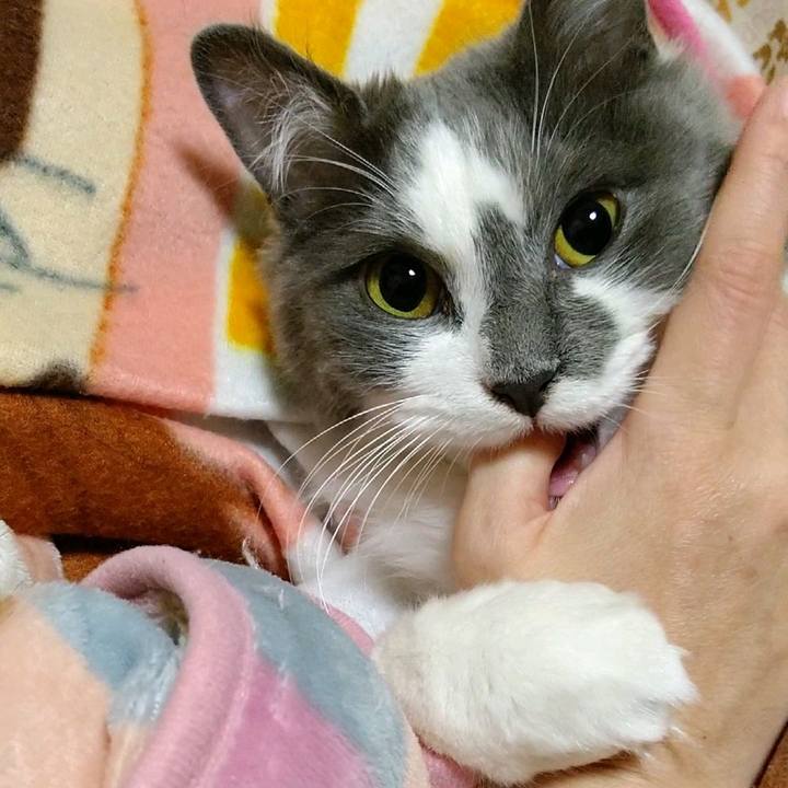 A427c33a 905a 468a a908 e29ea2d6b3f0 1585310910134