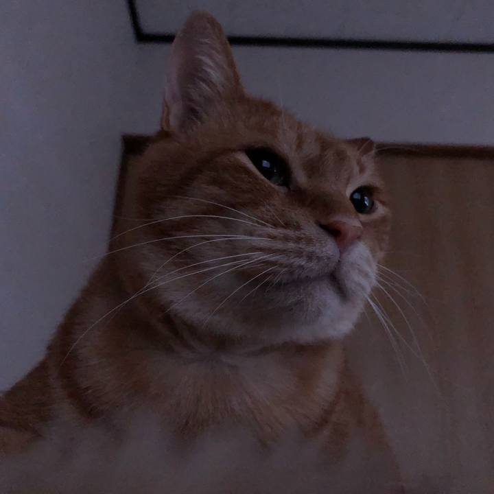 A427cb61 db23 4e73 b158 75b3aad6c42d 1583874372295