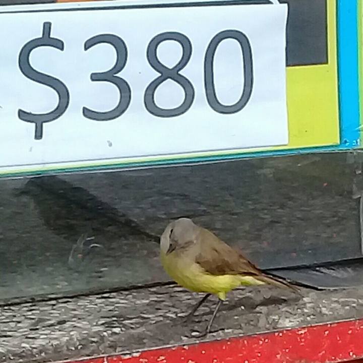 A427e2ee 9752 461d 888d 615081017d09 1599671162306