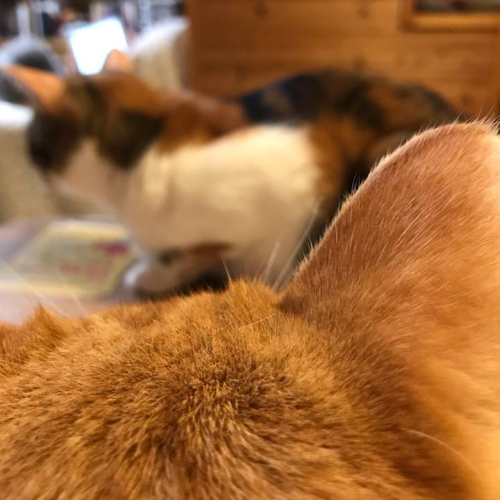 A427fb31 c3ca 4243 831c ce0c2a440f44 1695038037502